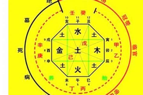 八字 查詢|生辰八字算命、五行喜用神查询（免费测算）